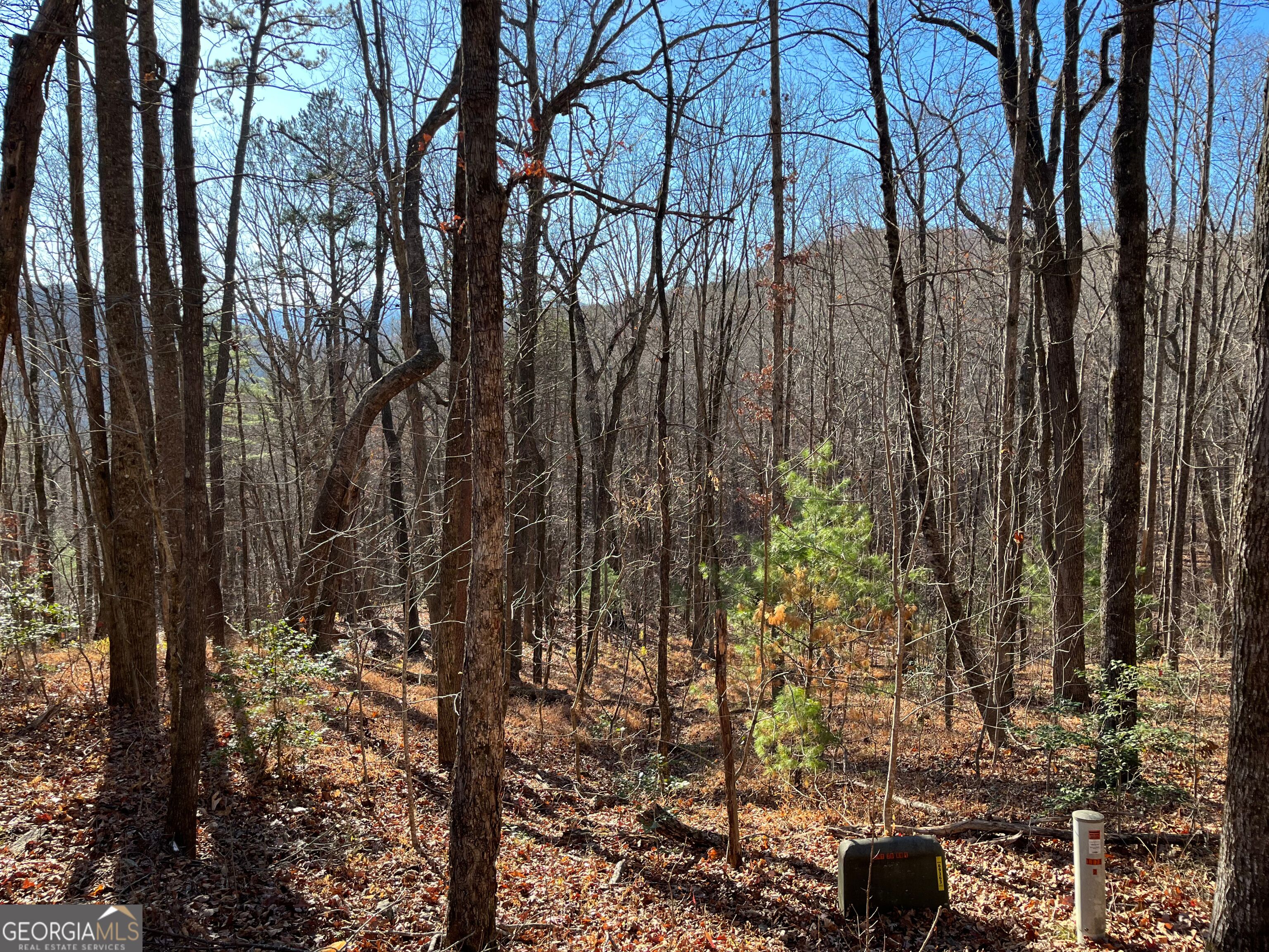 Lot #1 Forest Canopy Way Clayton GA 30525