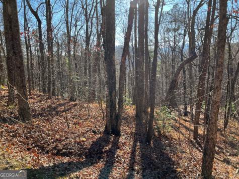 Lot #1 Forest Canopy Way Clayton GA 30525
