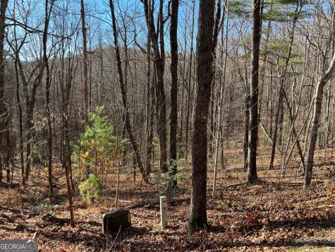 Lot #1 Forest Canopy Way Clayton GA 30525