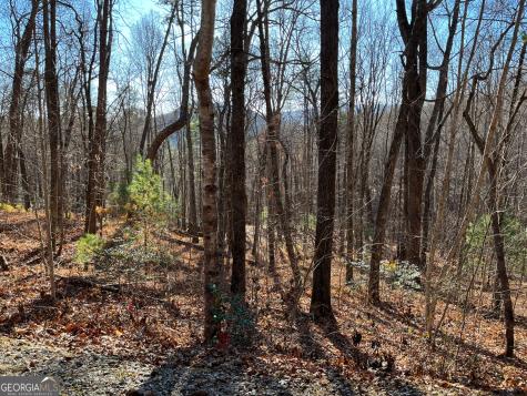 Lot #1 Forest Canopy Way Clayton GA 30525