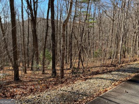 Lot #1 Forest Canopy Way Clayton GA 30525