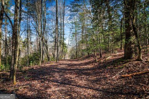 Tract B Captains Cove Blairsville GA 30512