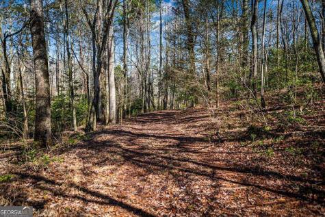 Tract B Captains Cove Blairsville GA 30512