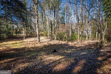 Tract B Captains Cove Blairsville GA 30512