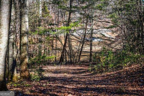 Tract B Captains Cove Blairsville GA 30512