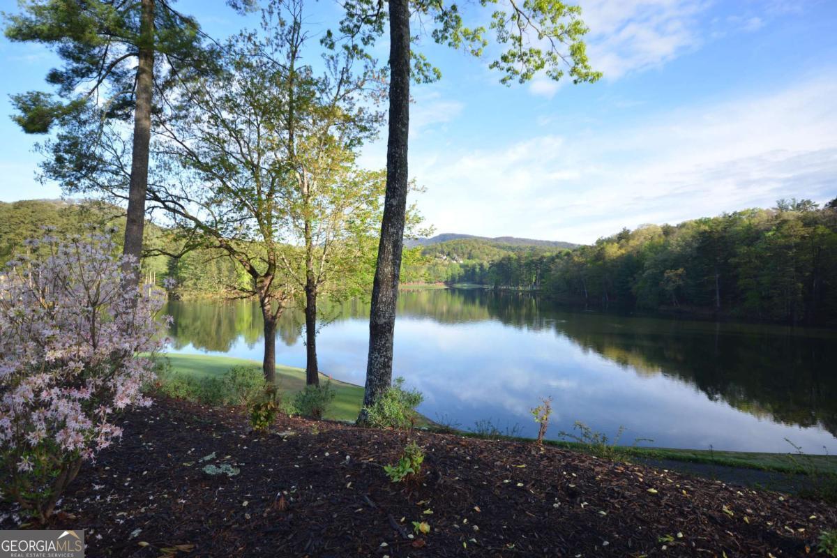 47 Bell Flower Drive Jasper GA 30143
