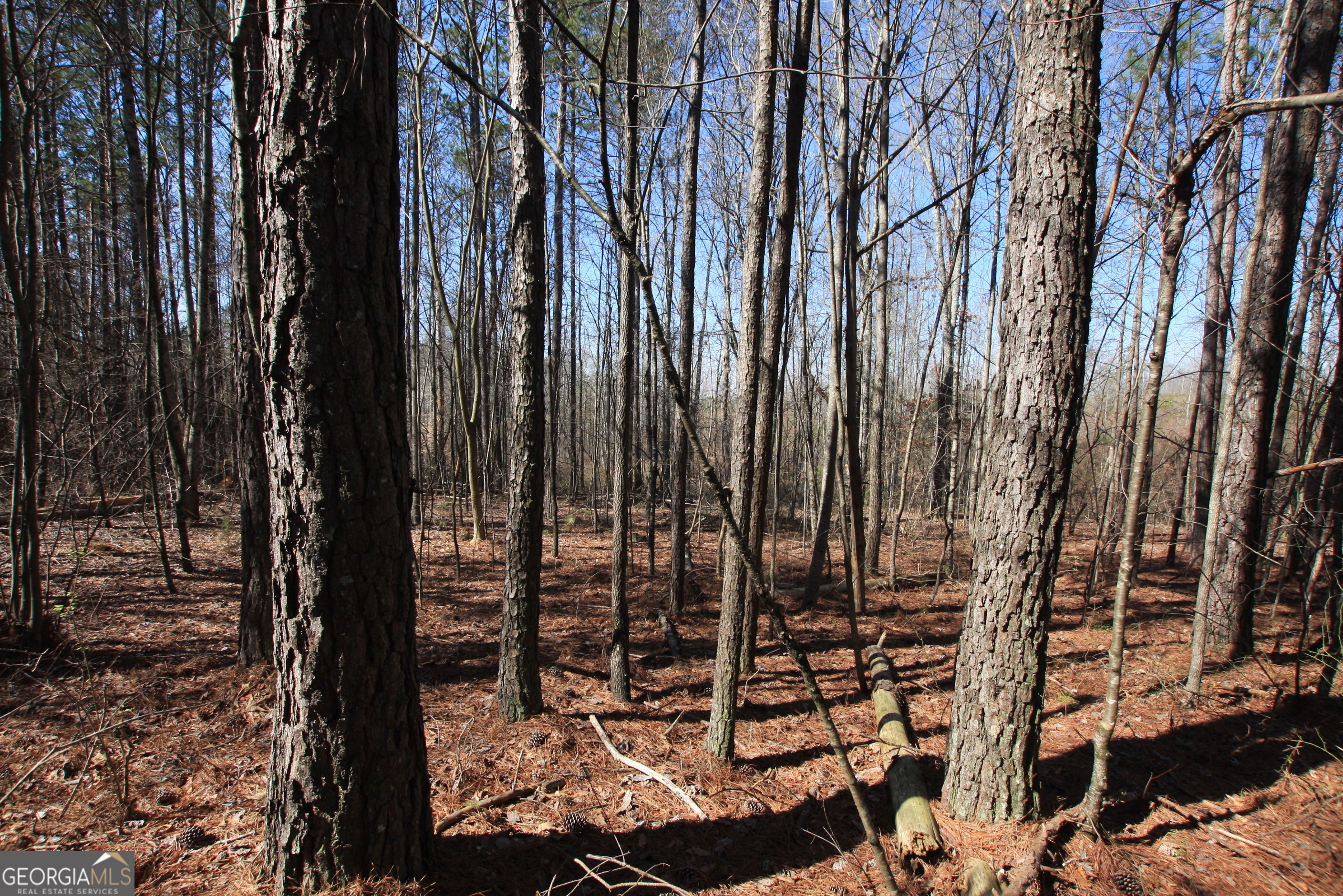 0 Highway 100 Tallapoosa GA 30176