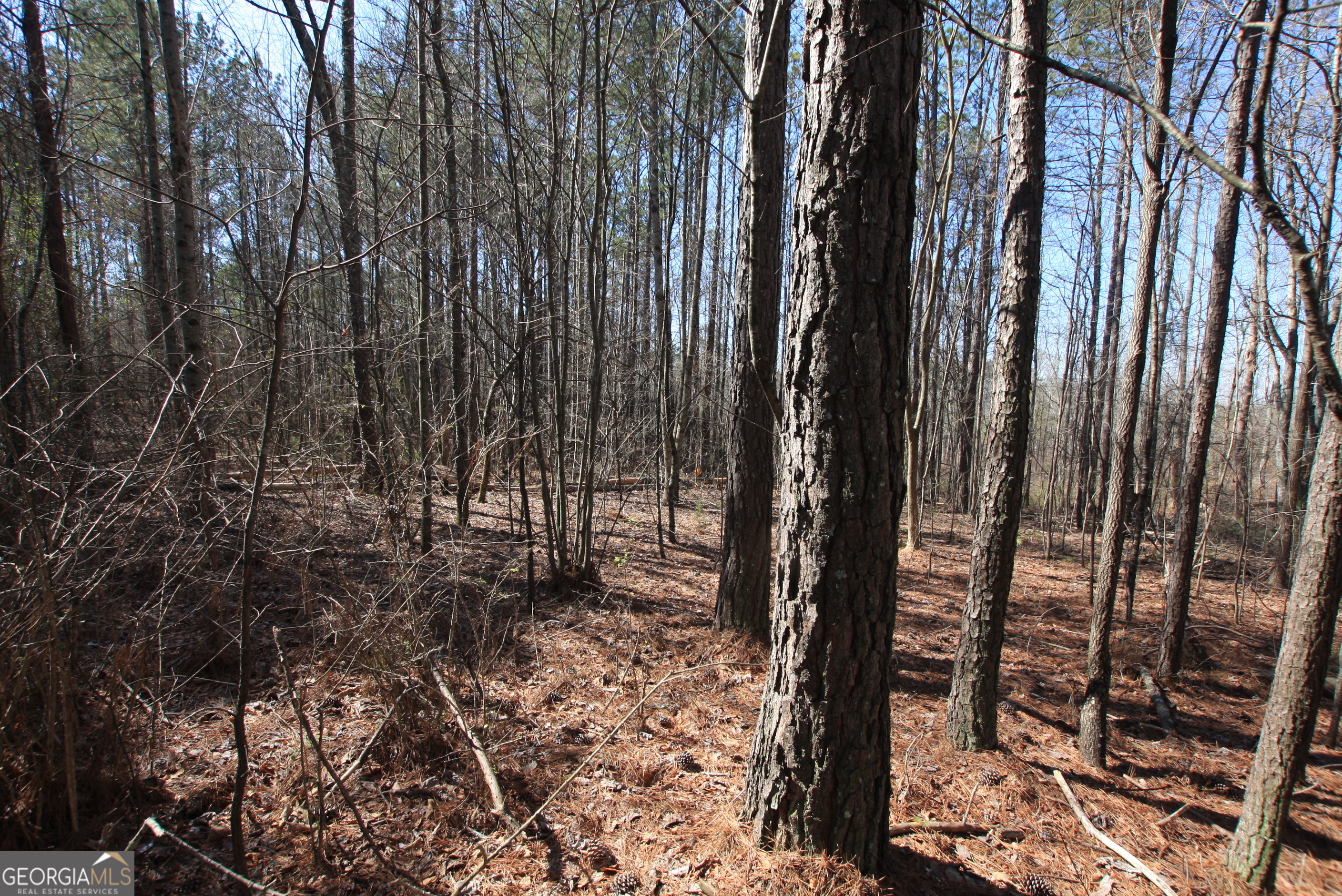 0 Highway 100 Tallapoosa GA 30176