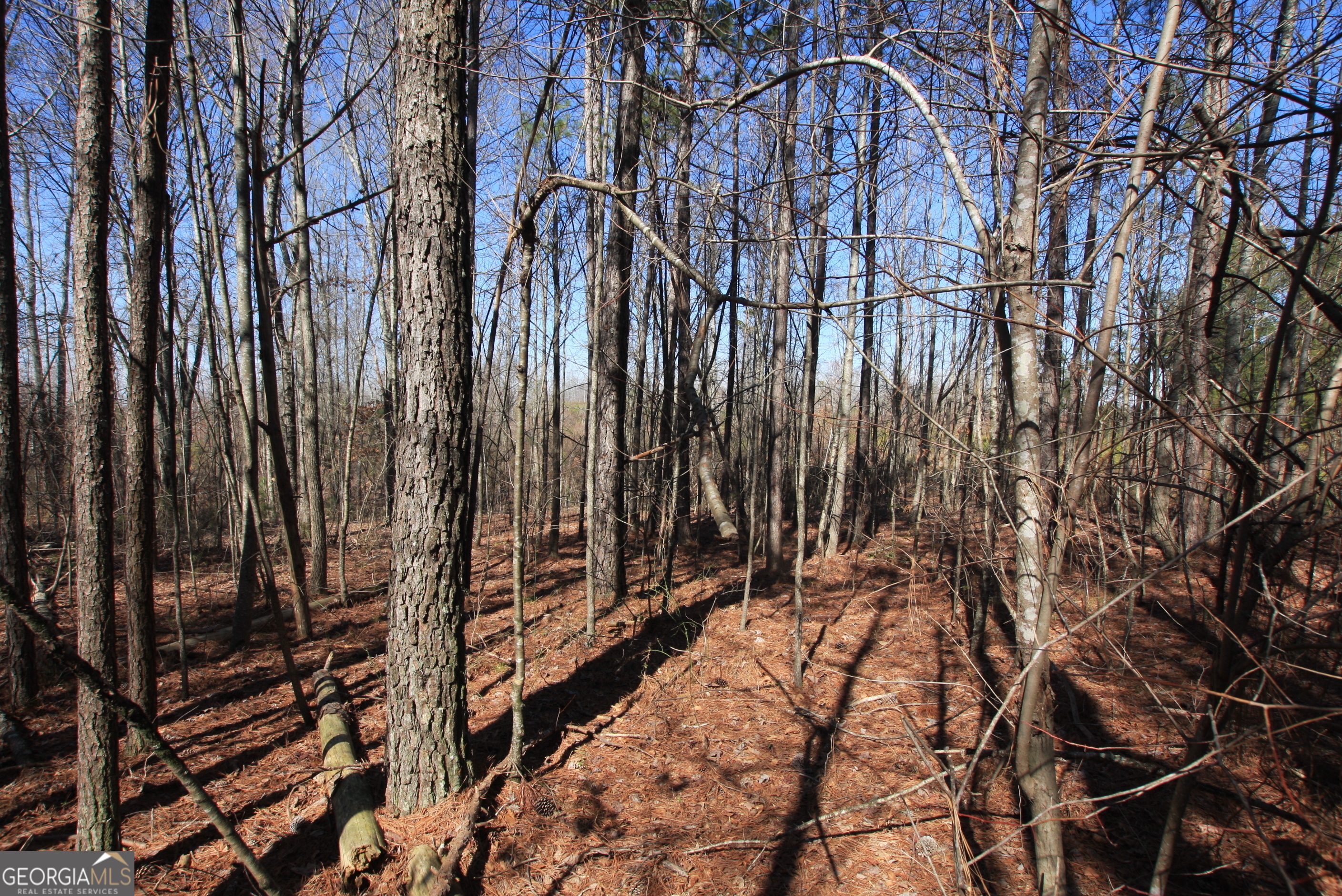 0 Highway 100 Tallapoosa GA 30176
