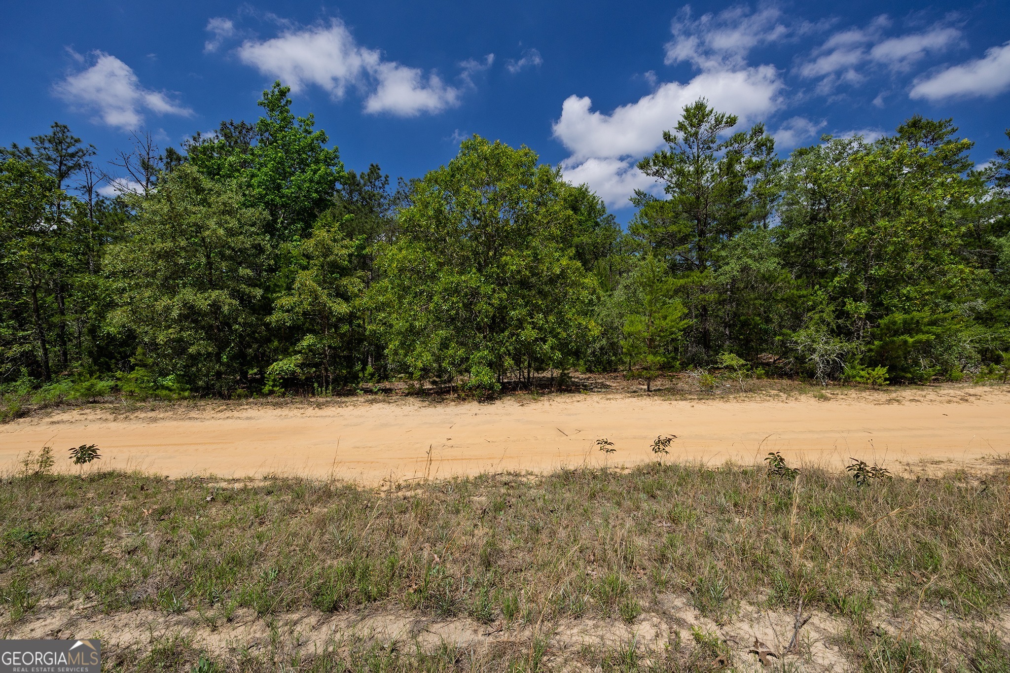 0 Allen Drive Mauk GA 31058