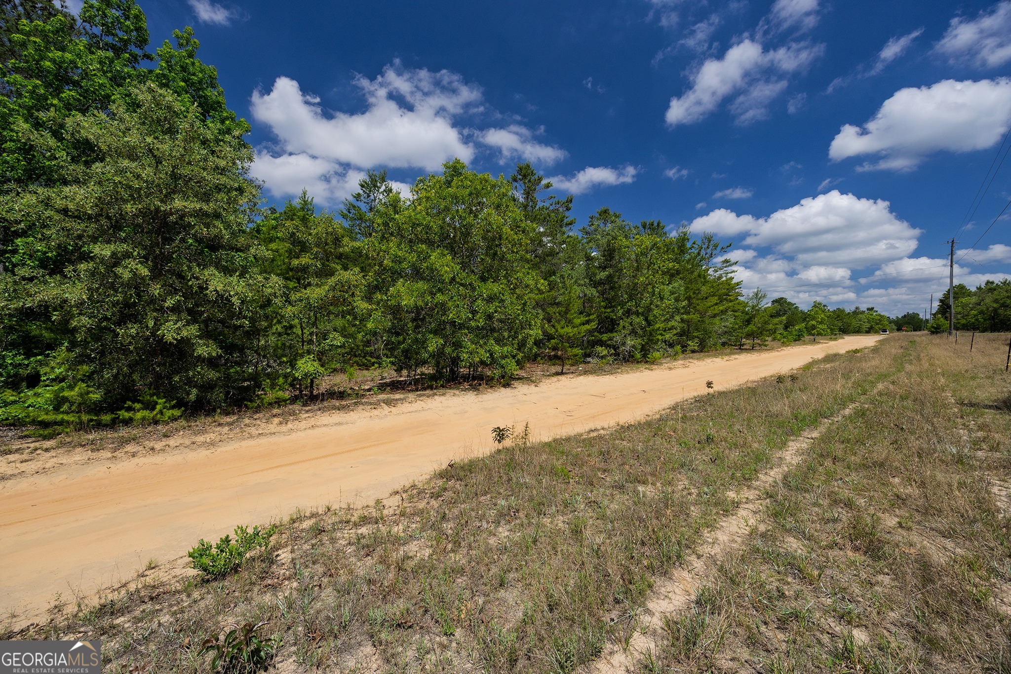 0 Allen Drive Mauk GA 31058