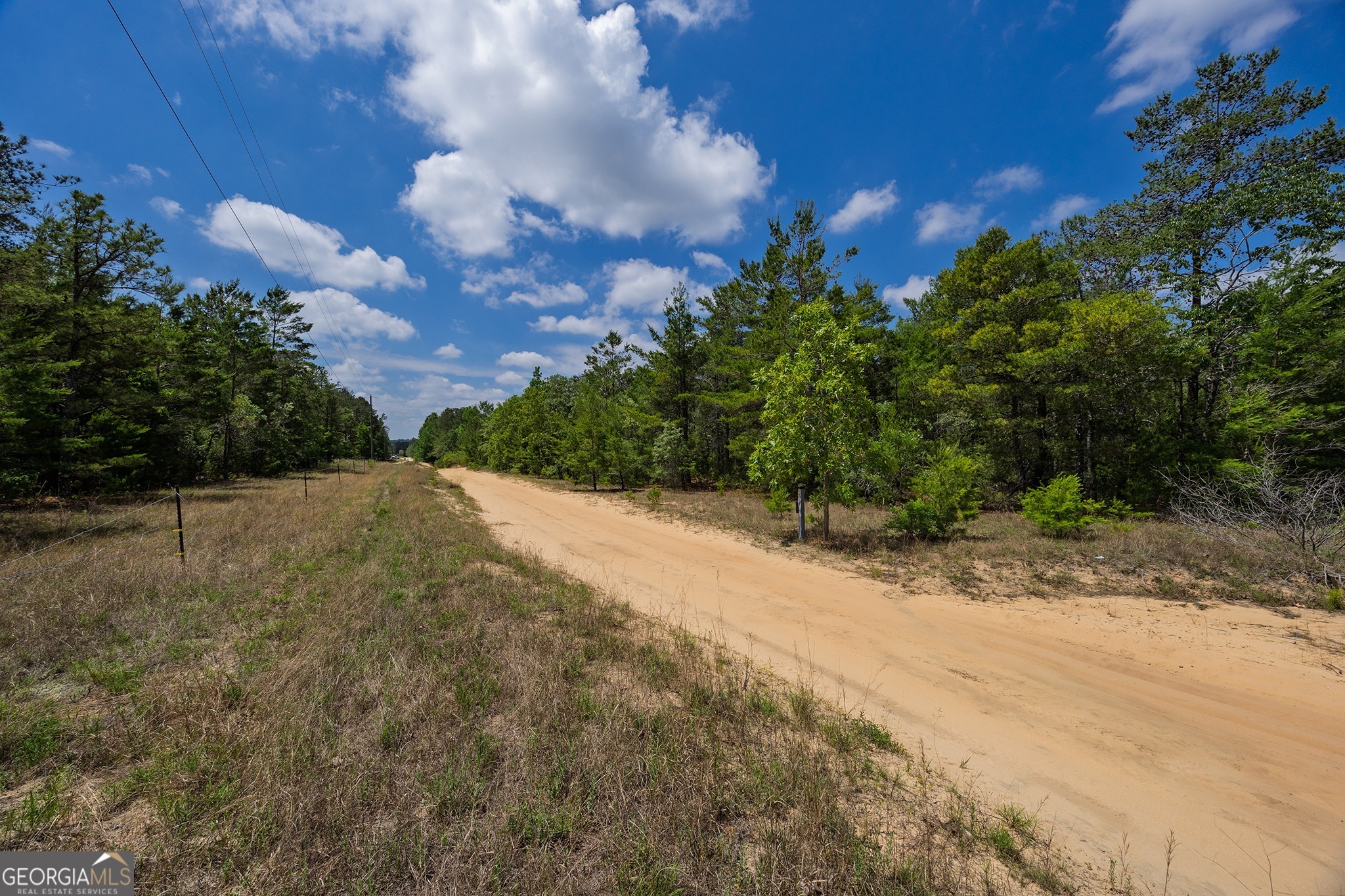 0 Allen Drive Mauk GA 31058