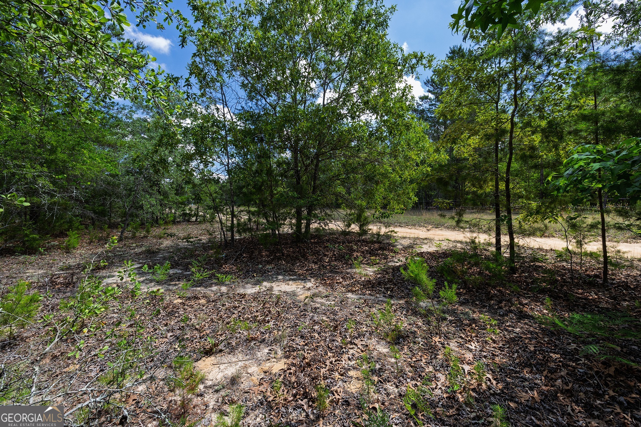 0 Allen Drive Mauk GA 31058