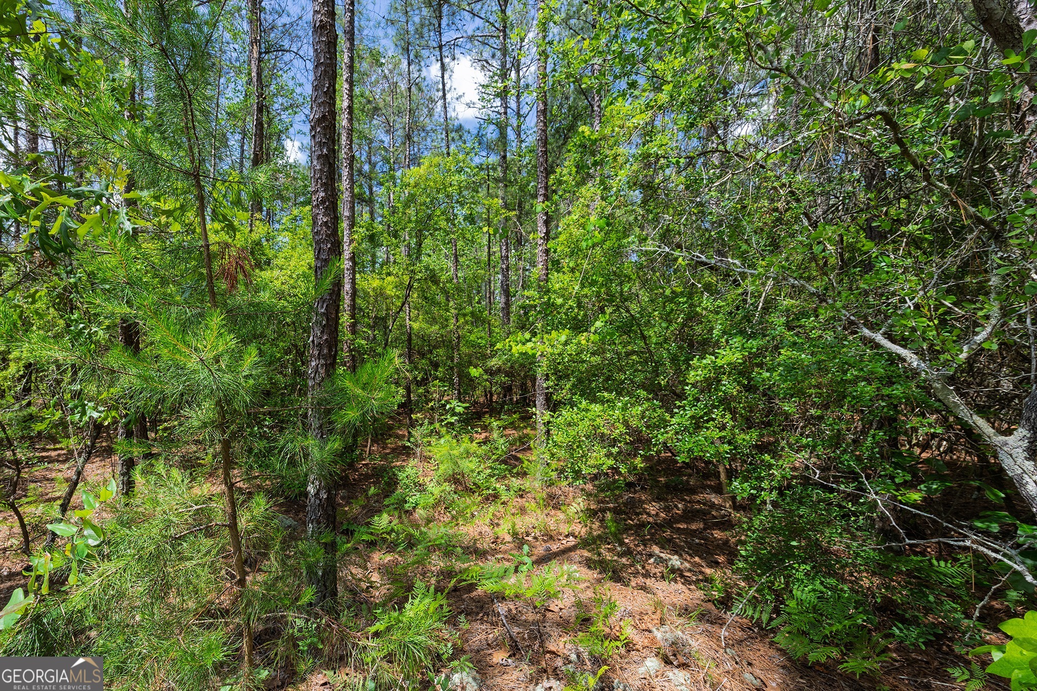 0 Allen Drive Mauk GA 31058