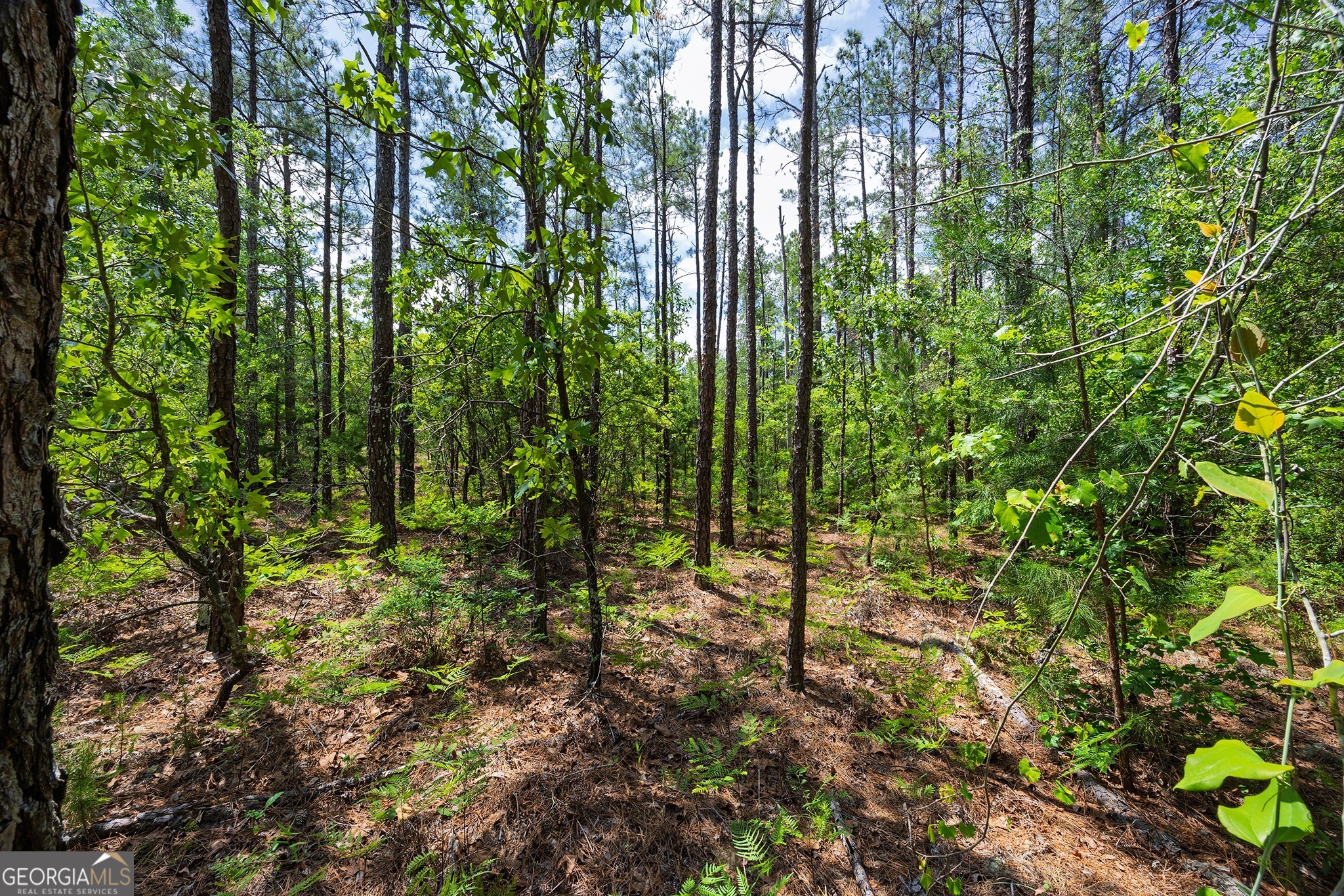 0 Allen Drive Mauk GA 31058