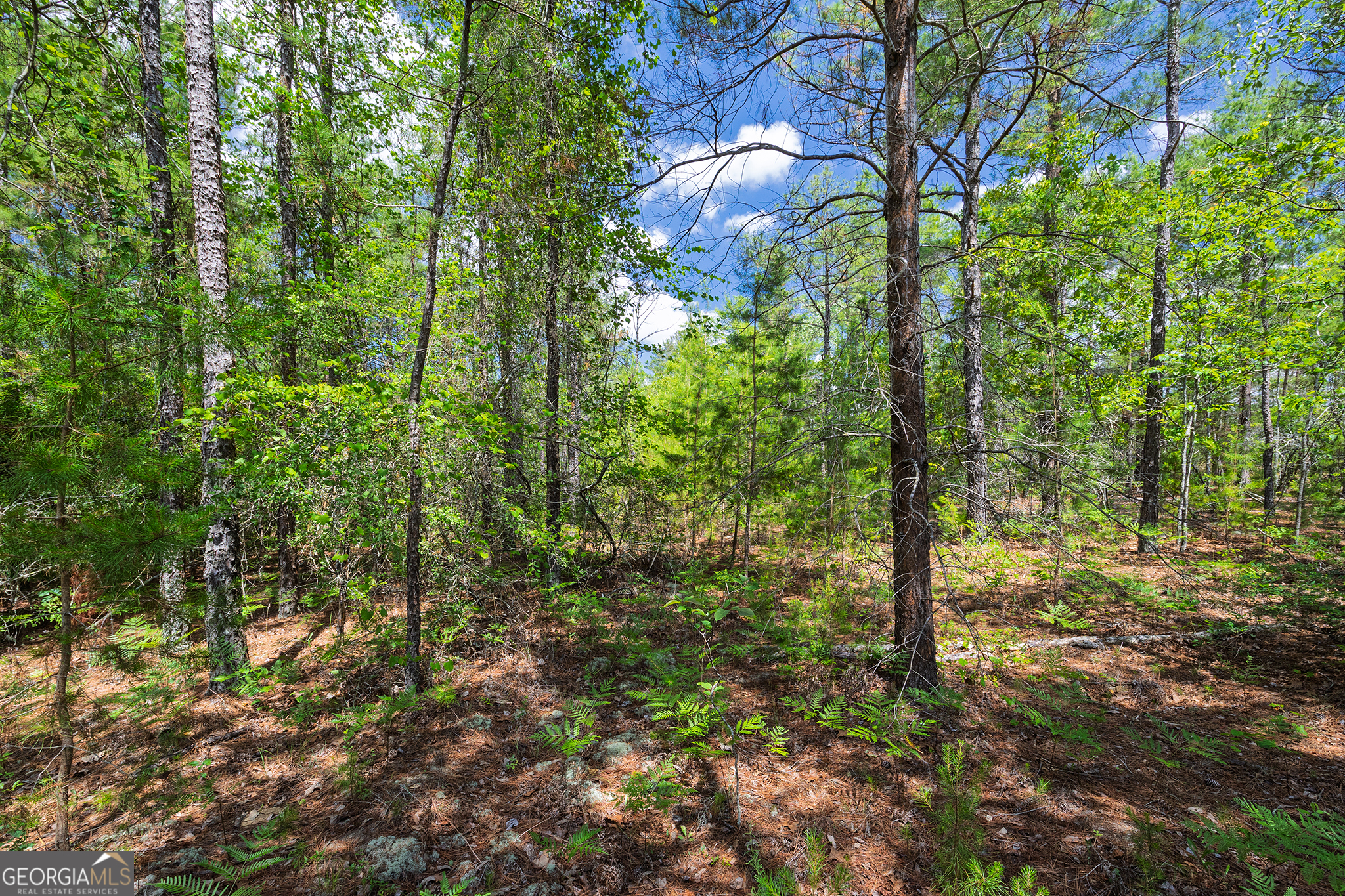 0 Allen Drive Mauk GA 31058