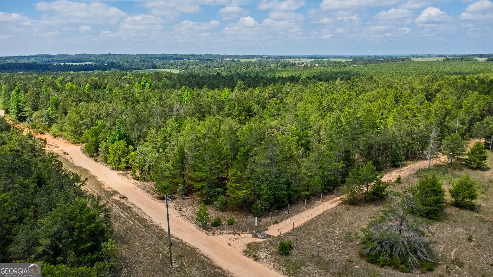 0 Allen Drive Mauk GA 31058