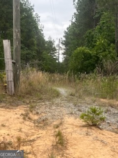 0 Allen Drive Mauk GA 31058