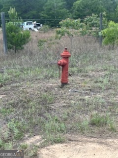 0 Allen Drive Mauk GA 31058