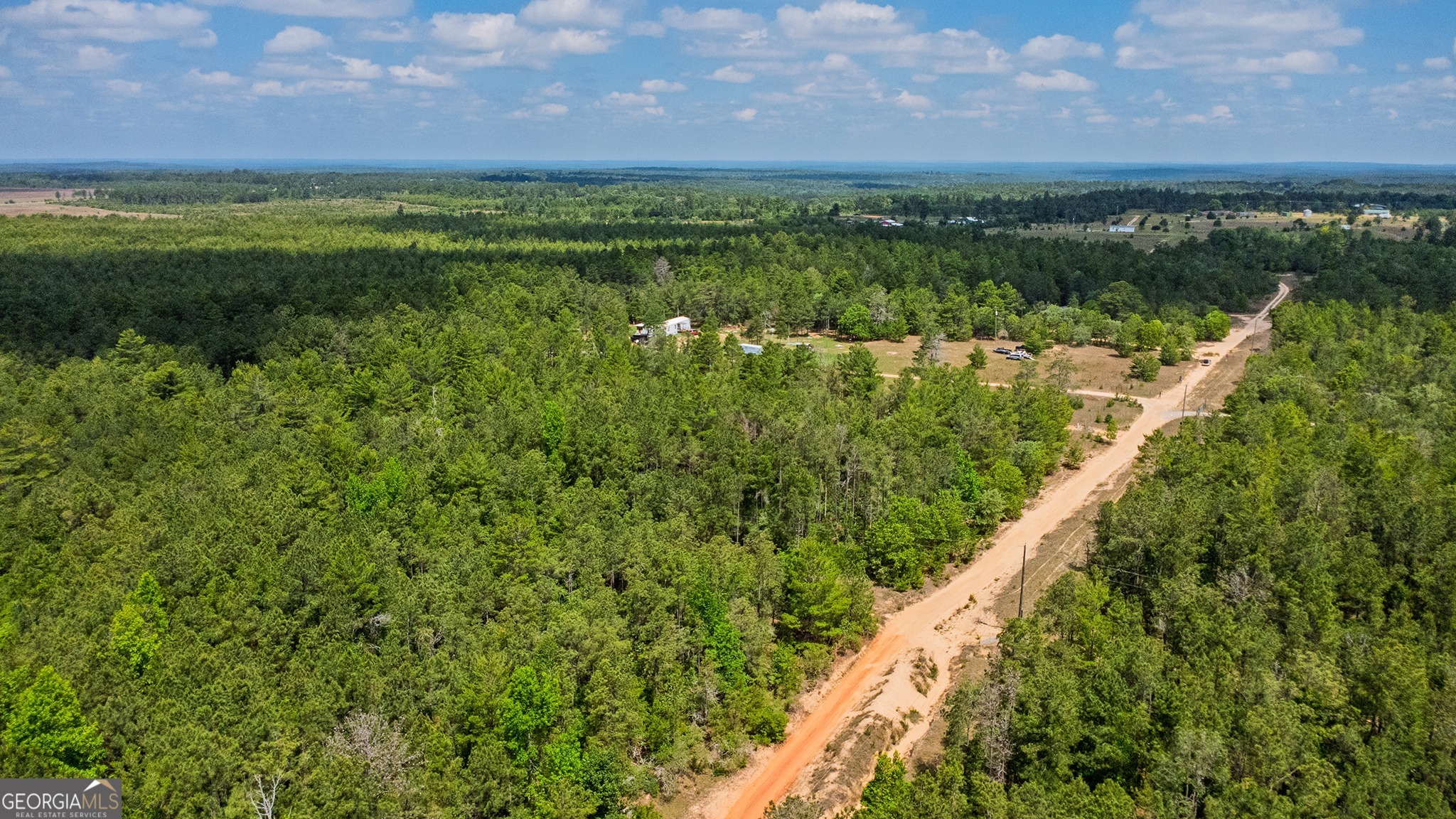 0 Allen Drive Mauk GA 31058