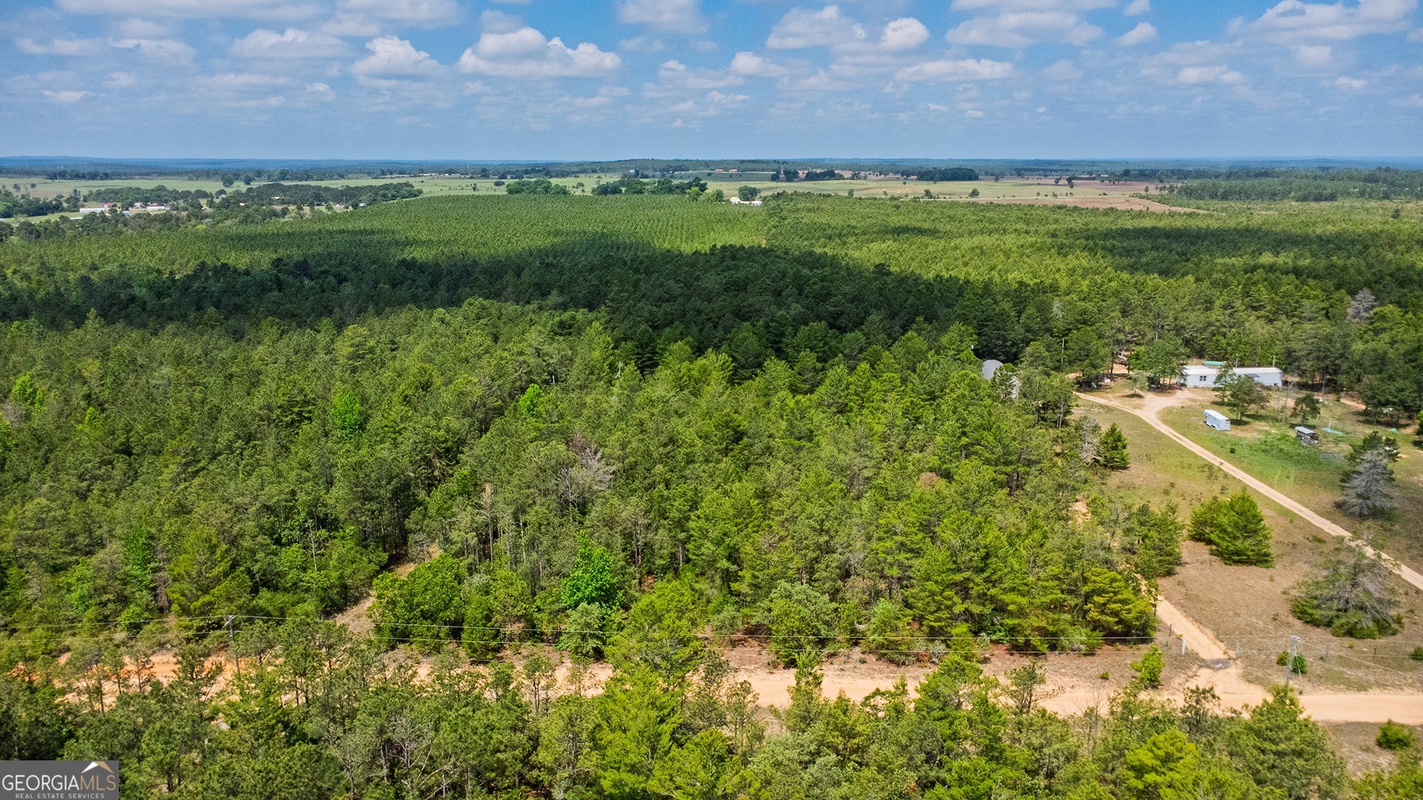 0 Allen Drive Mauk GA 31058