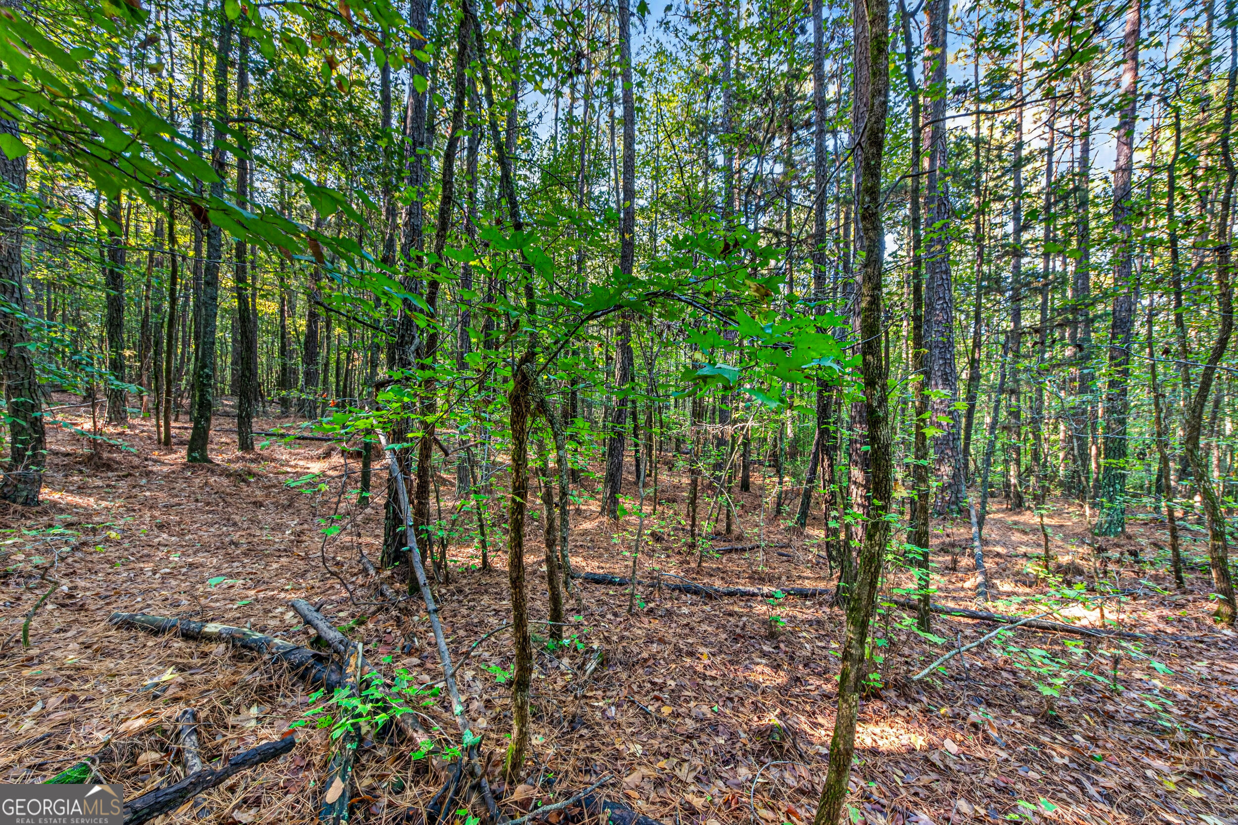 105 Shannondale Road Winterville GA 30683