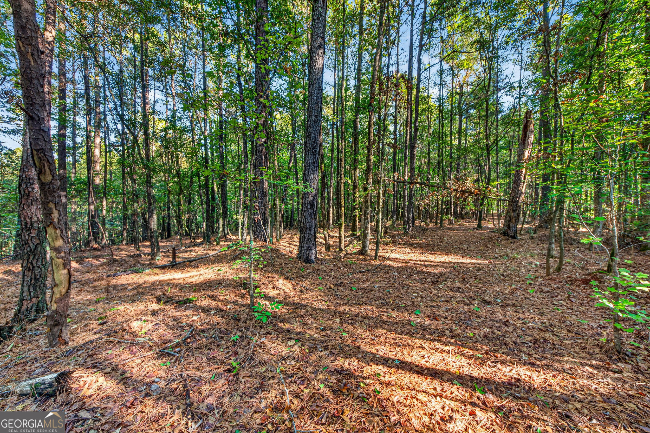105 Shannondale Road Winterville GA 30683