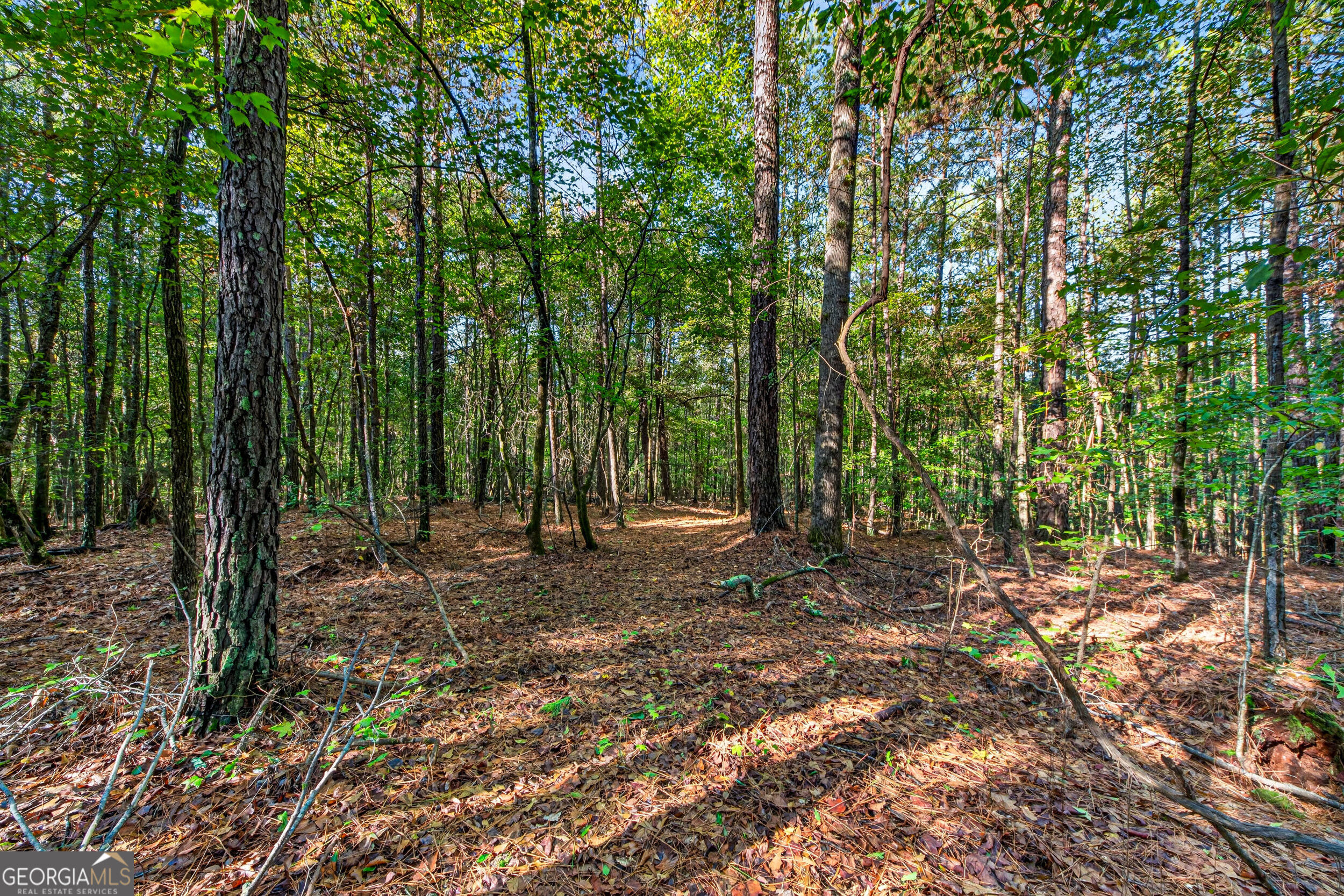 105 Shannondale Road Winterville GA 30683