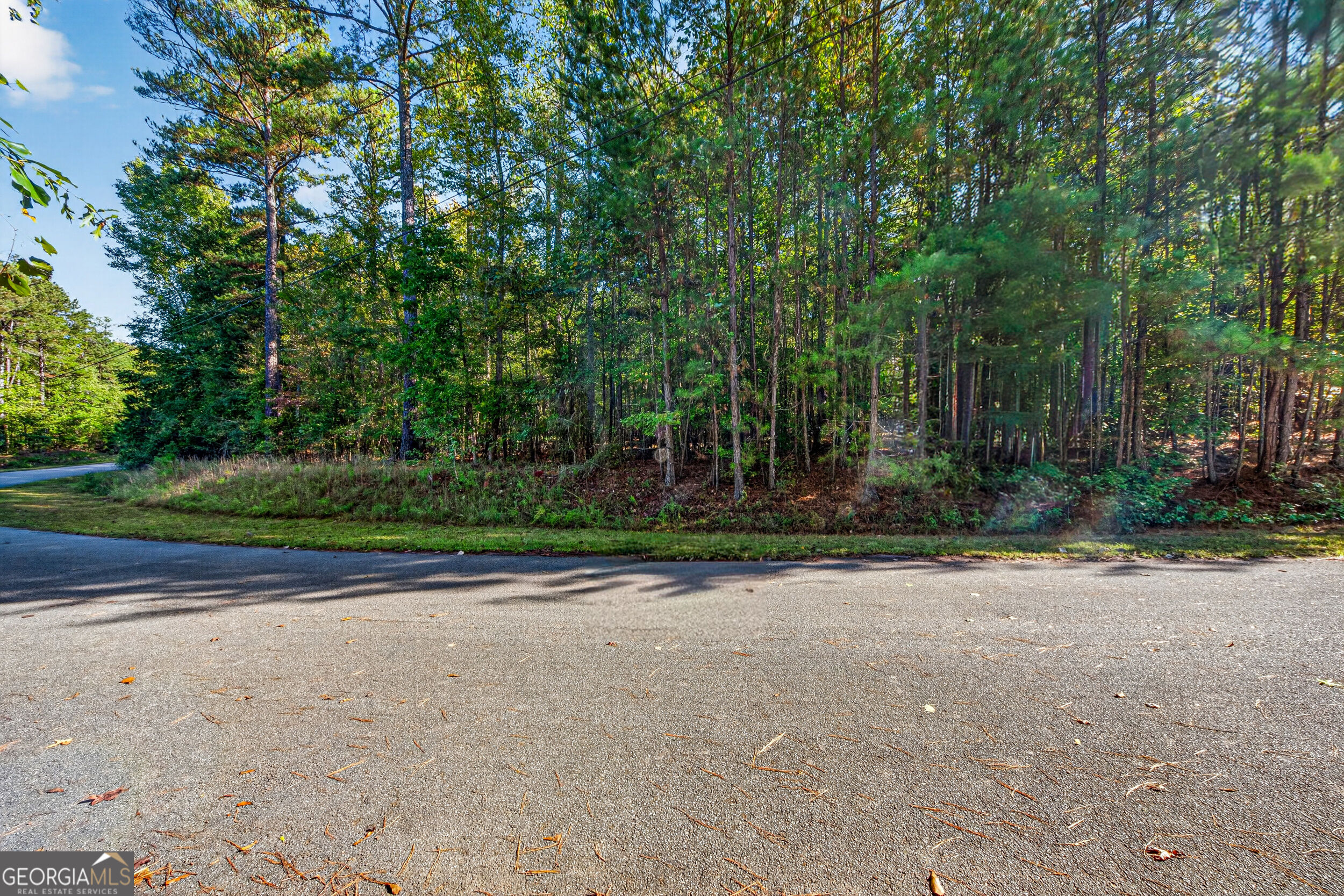 105 Shannondale Road Winterville GA 30683