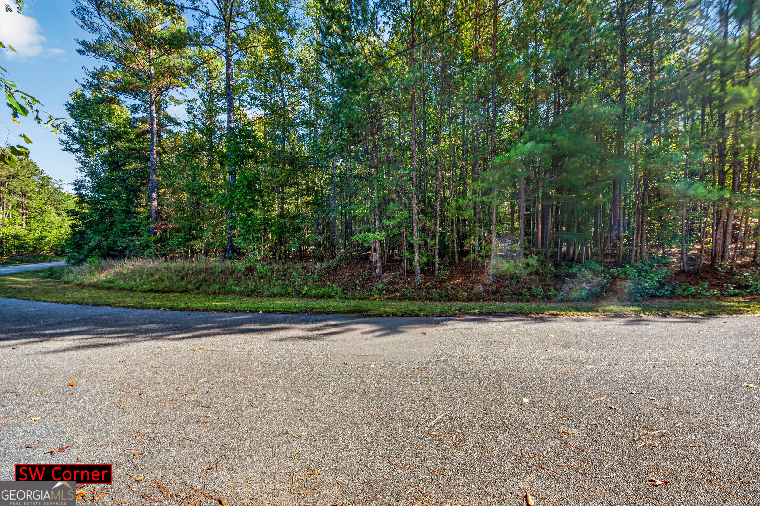 105 Shannondale Road Winterville GA 30683