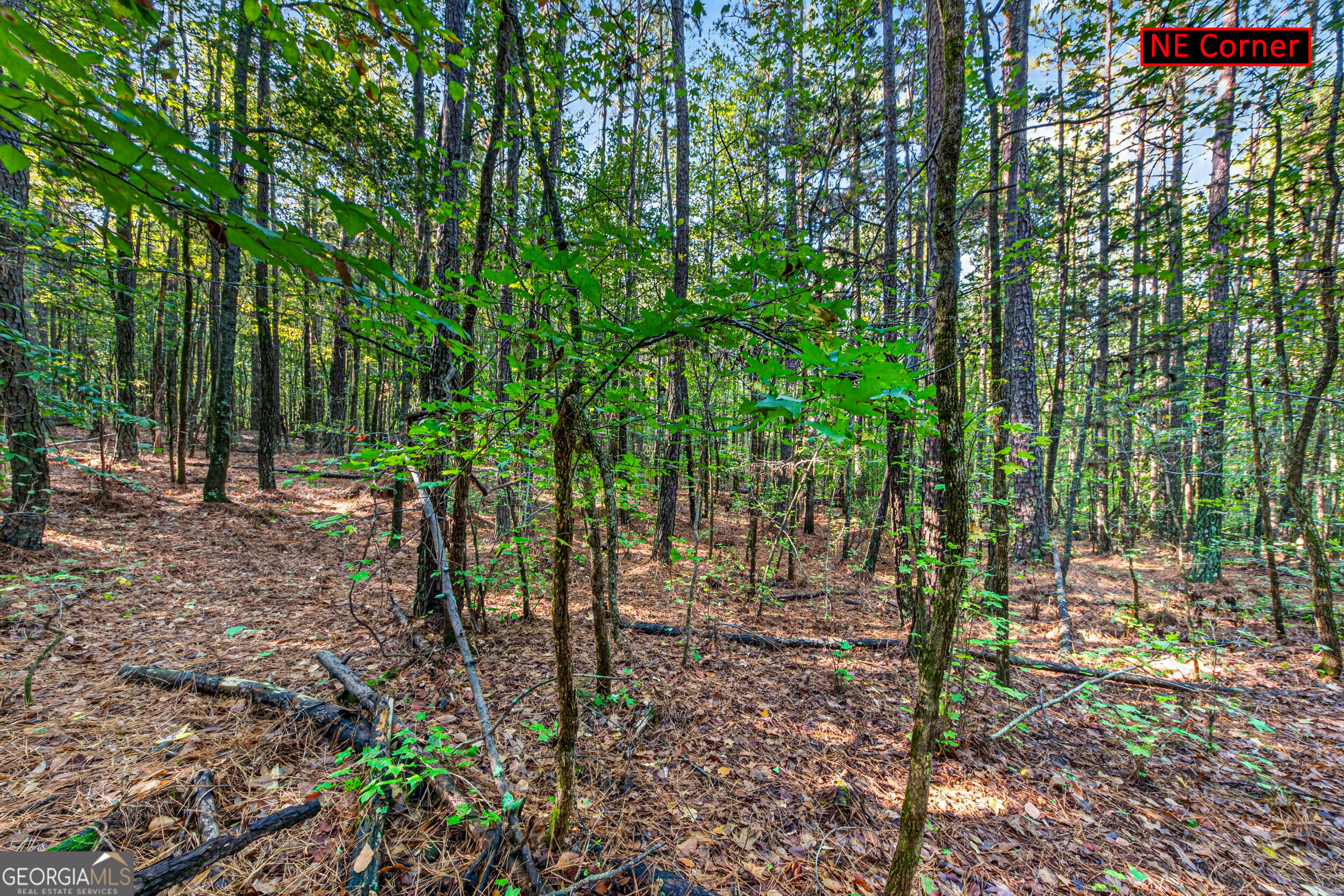 105 Shannondale Road Winterville GA 30683