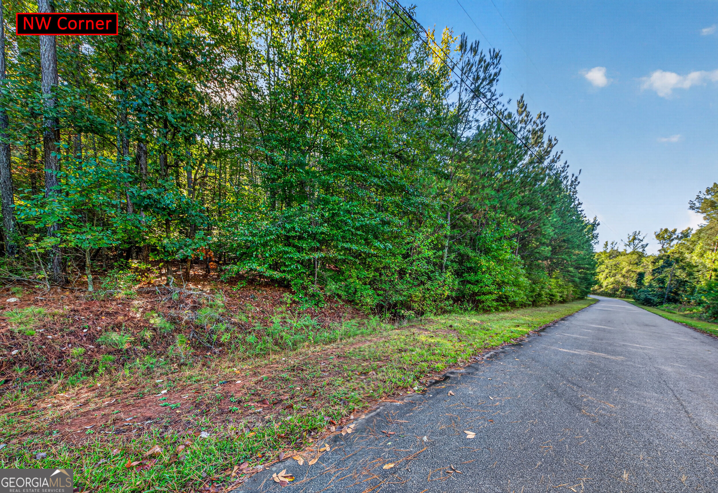 105 Shannondale Road Winterville GA 30683