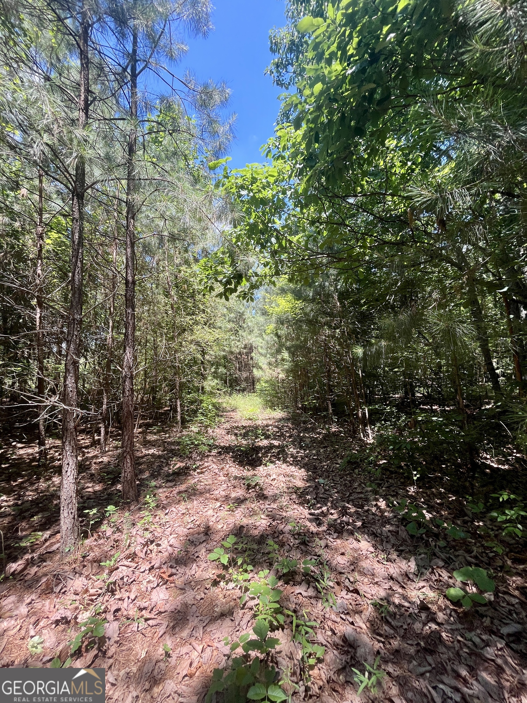 451 Two Rock Road Waco GA 30182