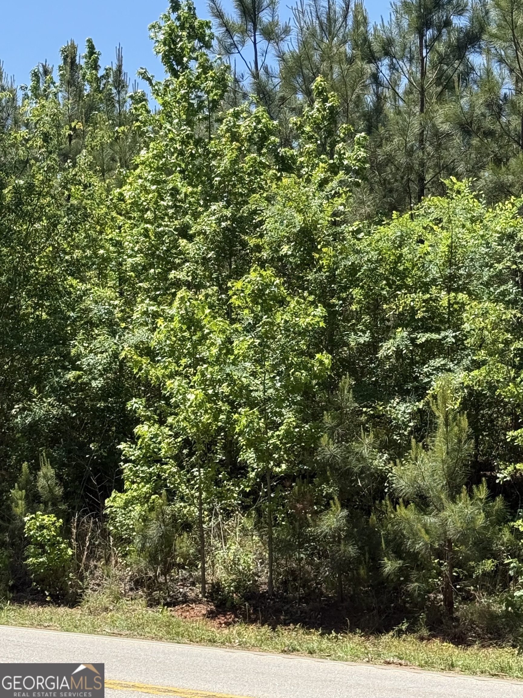 10 Acres Woodbury Highway Greenville GA 30222
