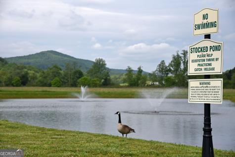 17 Mountain Vista Road Blairsville GA 30512