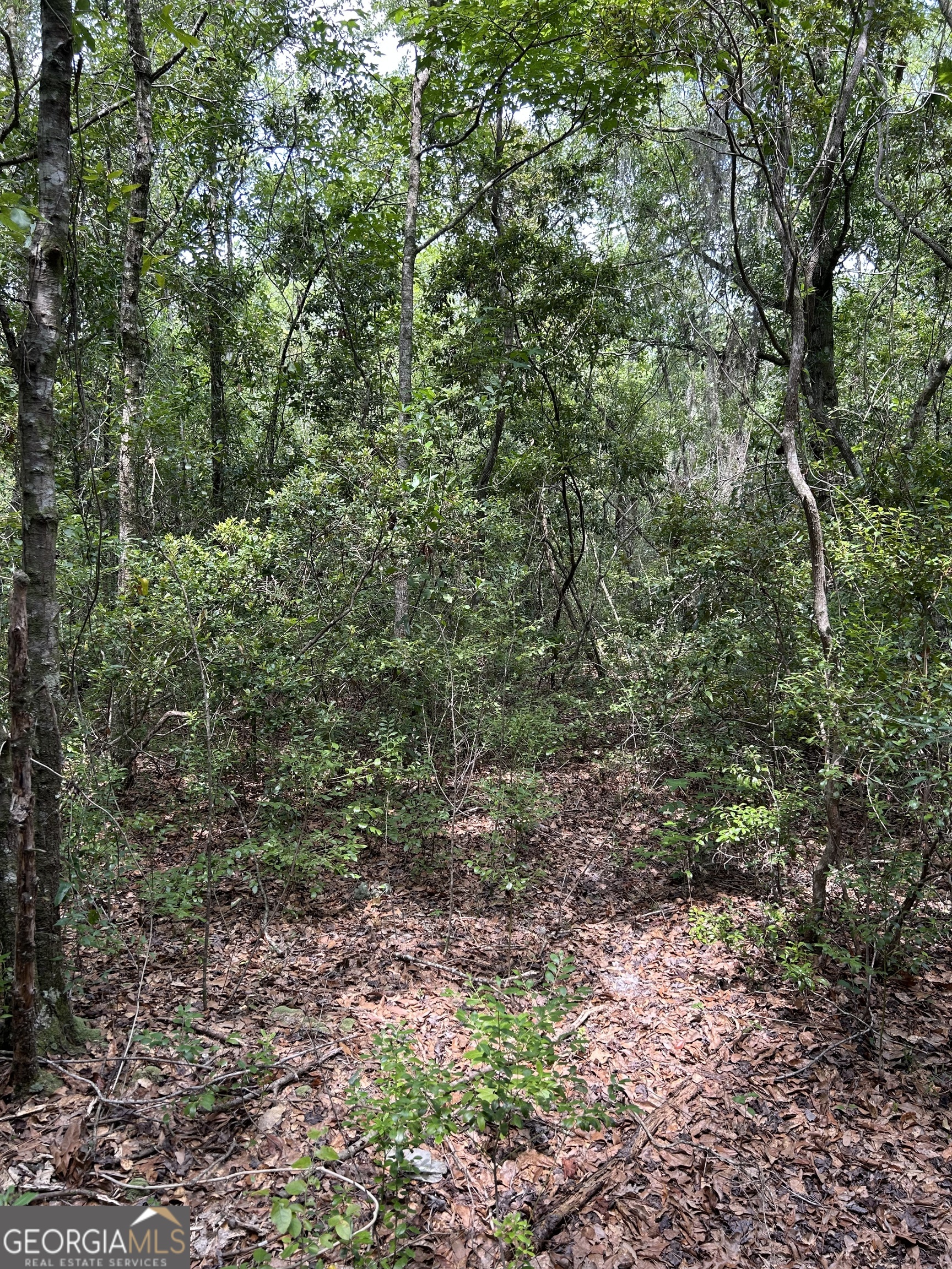 3501 Charlie Smith Sr Highway St. Marys GA 31558