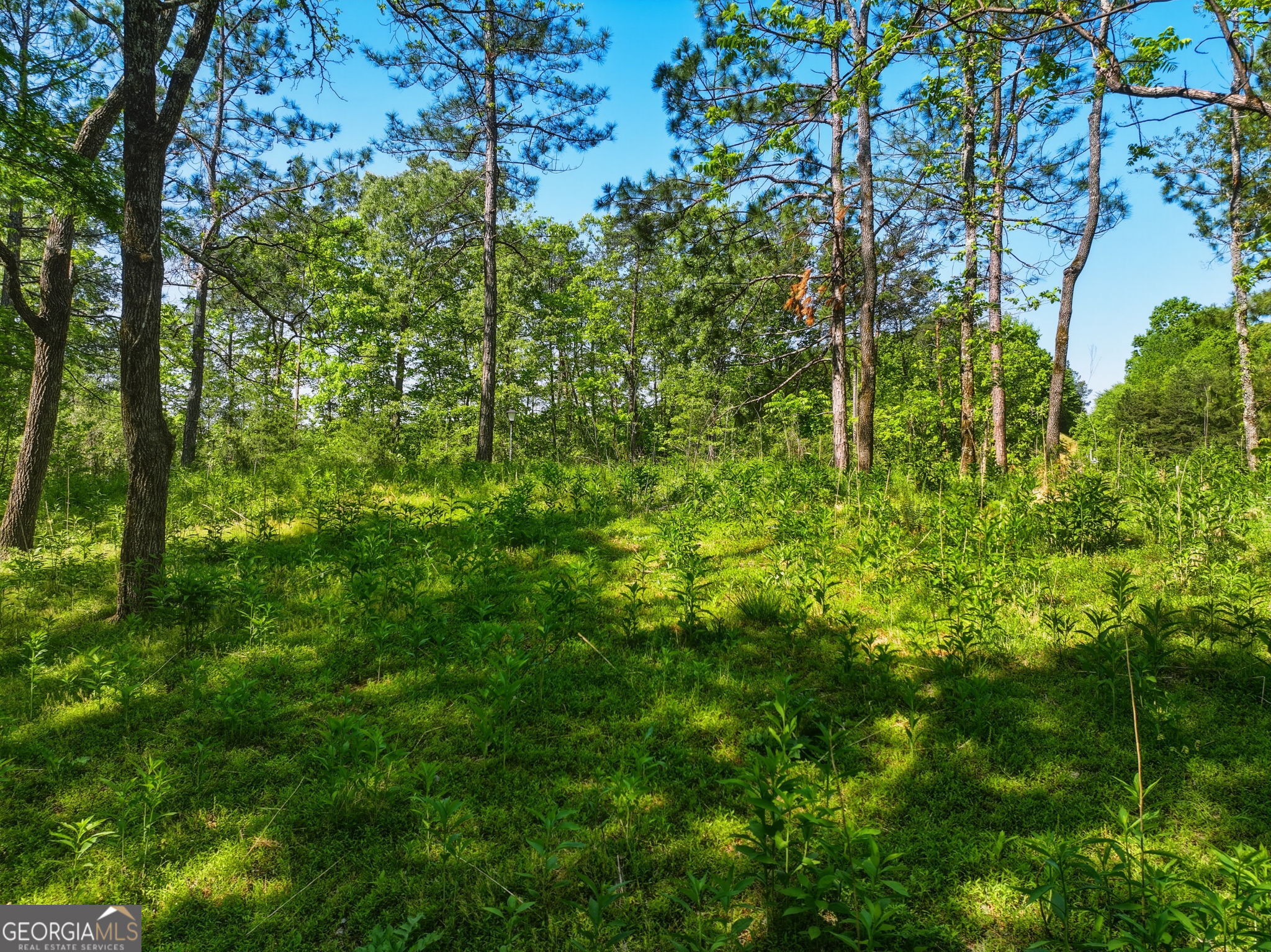 Lot 2 Summit Drive Dahlonega GA 30533