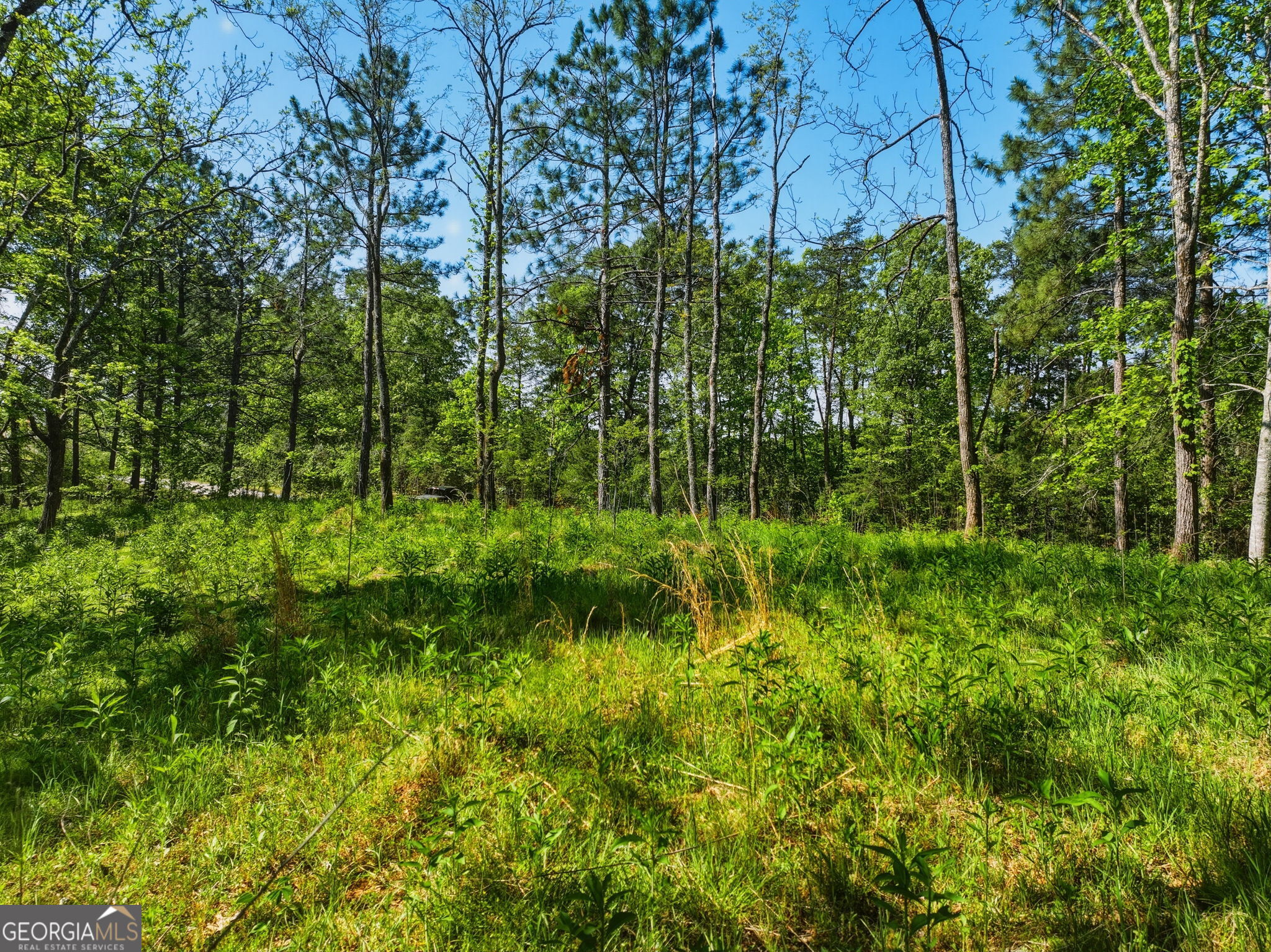 Lot 2 Summit Drive Dahlonega GA 30533