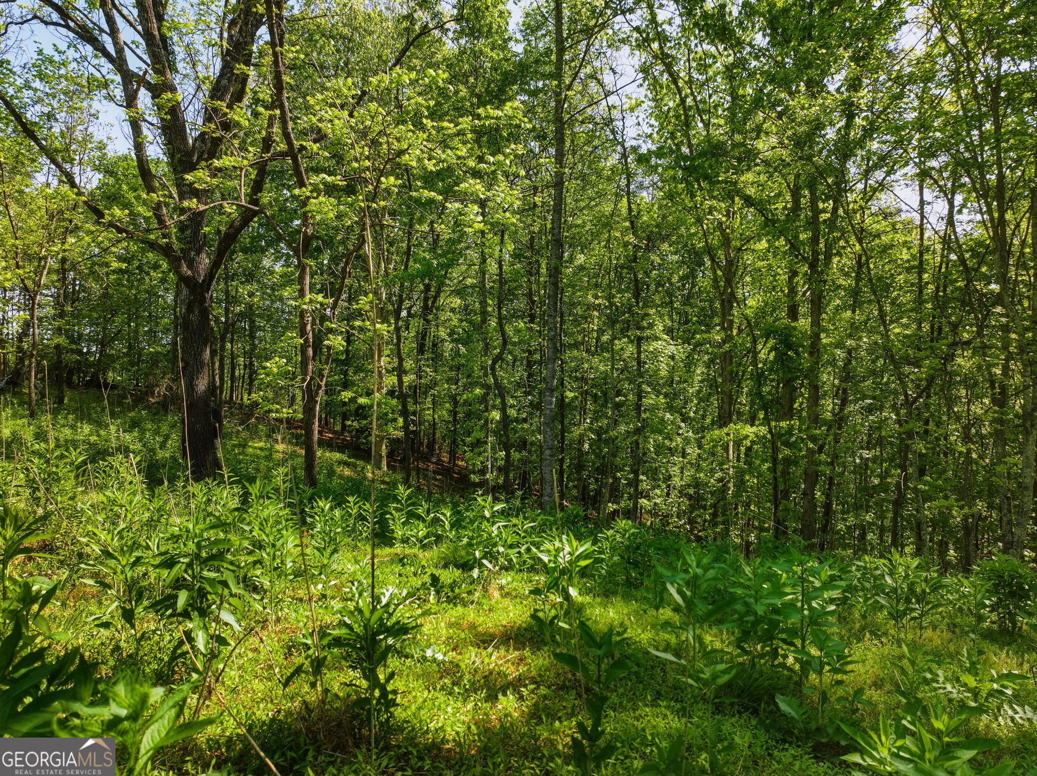 Lot 2 Summit Drive Dahlonega GA 30533