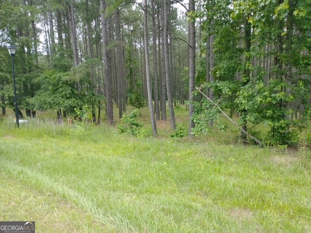 1064 Shelter Cove Road Lincolnton GA 30817
