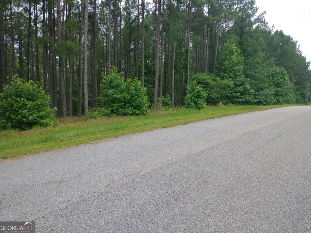 1064 Shelter Cove Road Lincolnton GA 30817