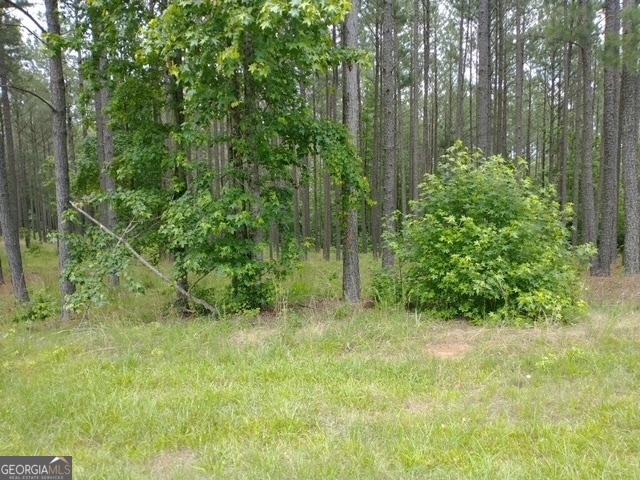 1064 Shelter Cove Road Lincolnton GA 30817