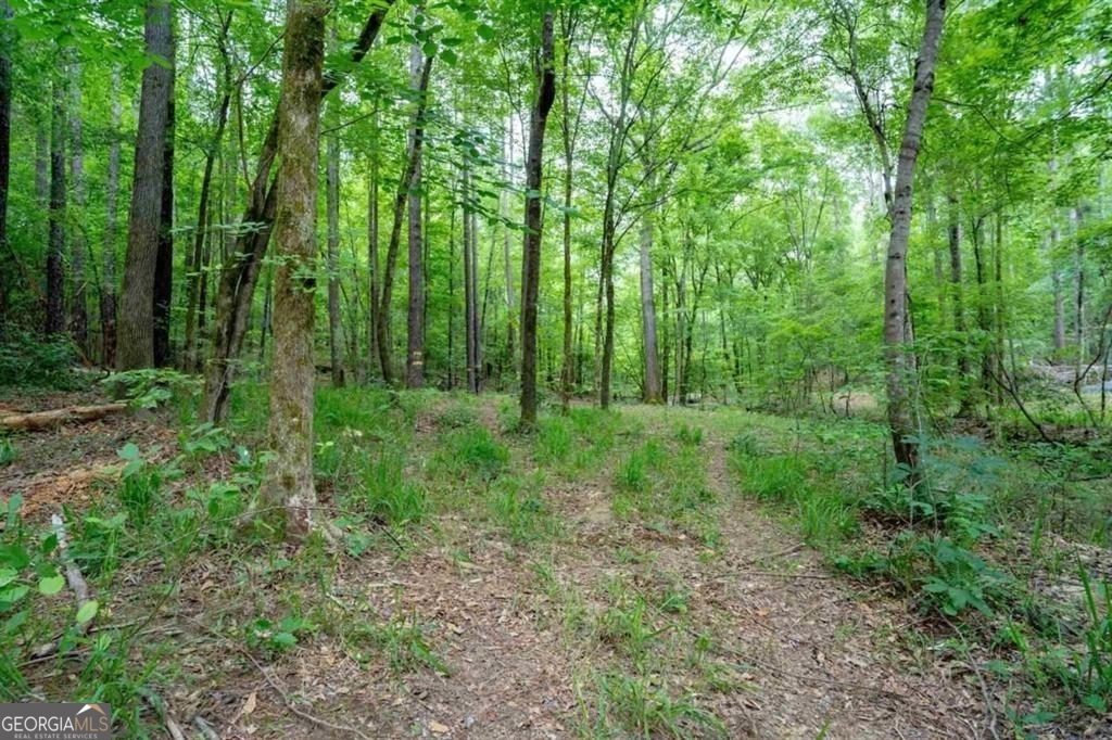 1411 Northwoods Drive Greensboro GA 30642