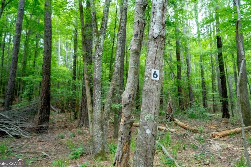 1411 Northwoods Drive Greensboro GA 30642