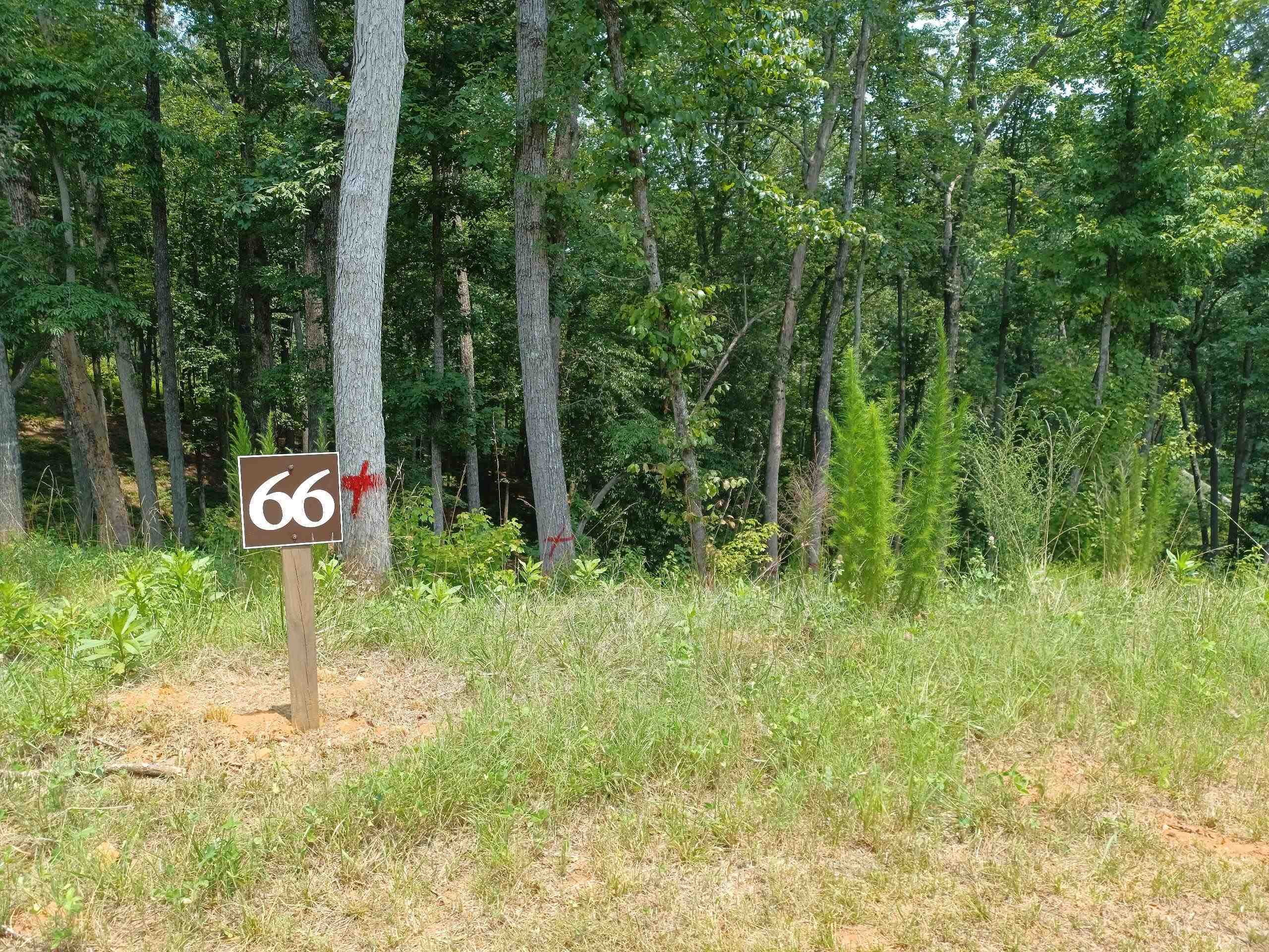 33 Ridge Line Trail Ellijay GA 30540