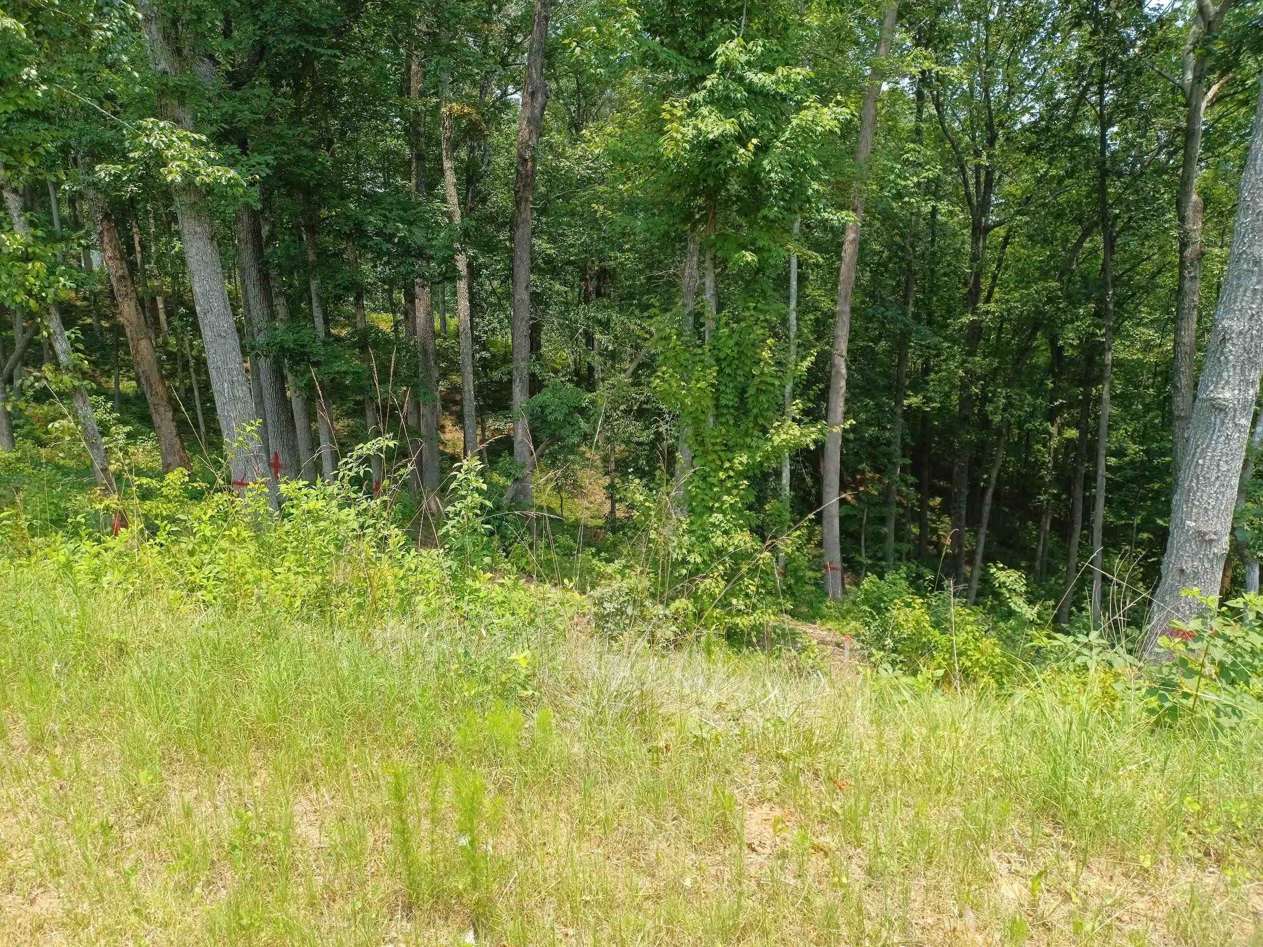 33 Ridge Line Trail Ellijay GA 30540
