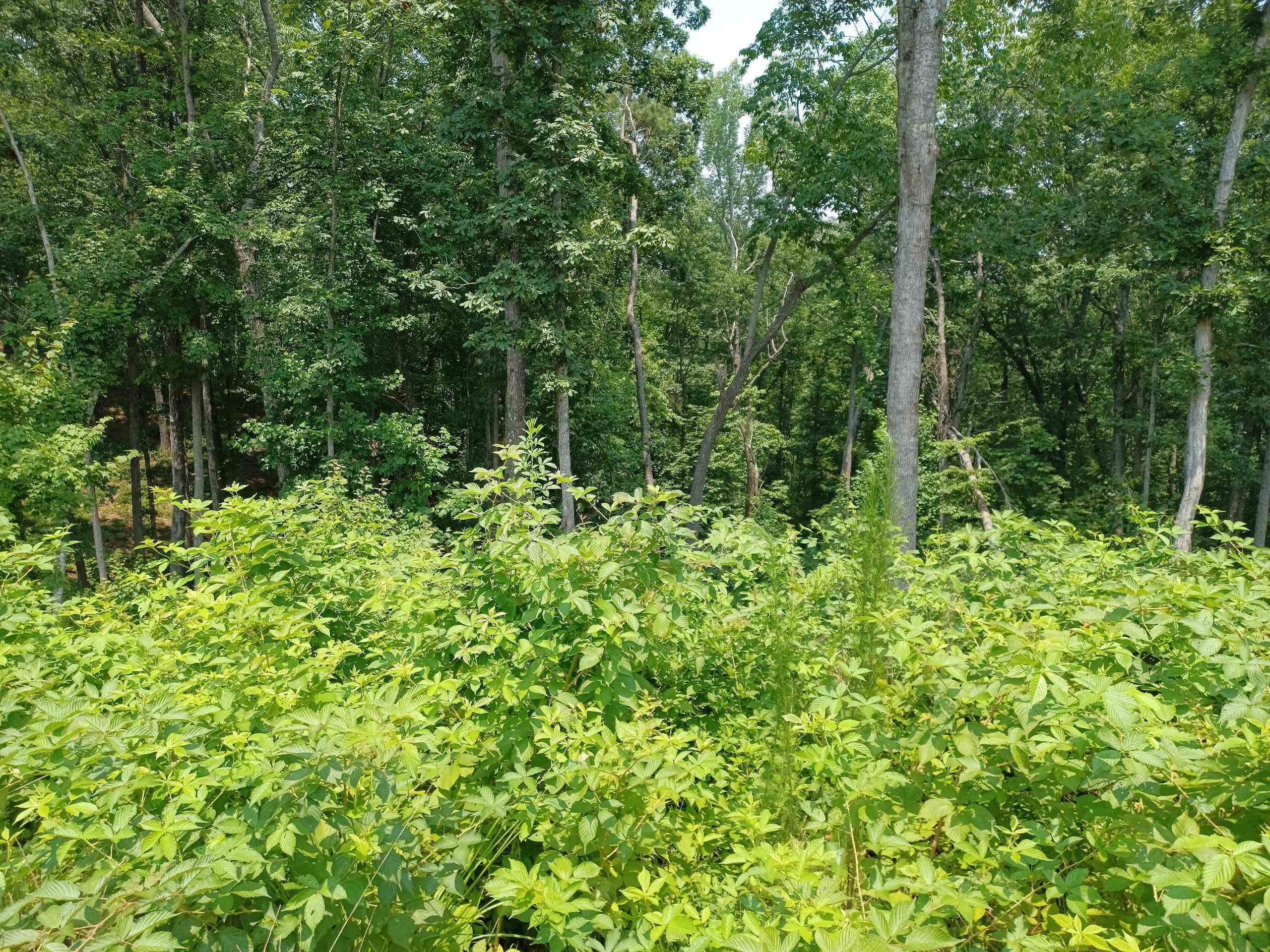 33 Ridge Line Trail Ellijay GA 30540