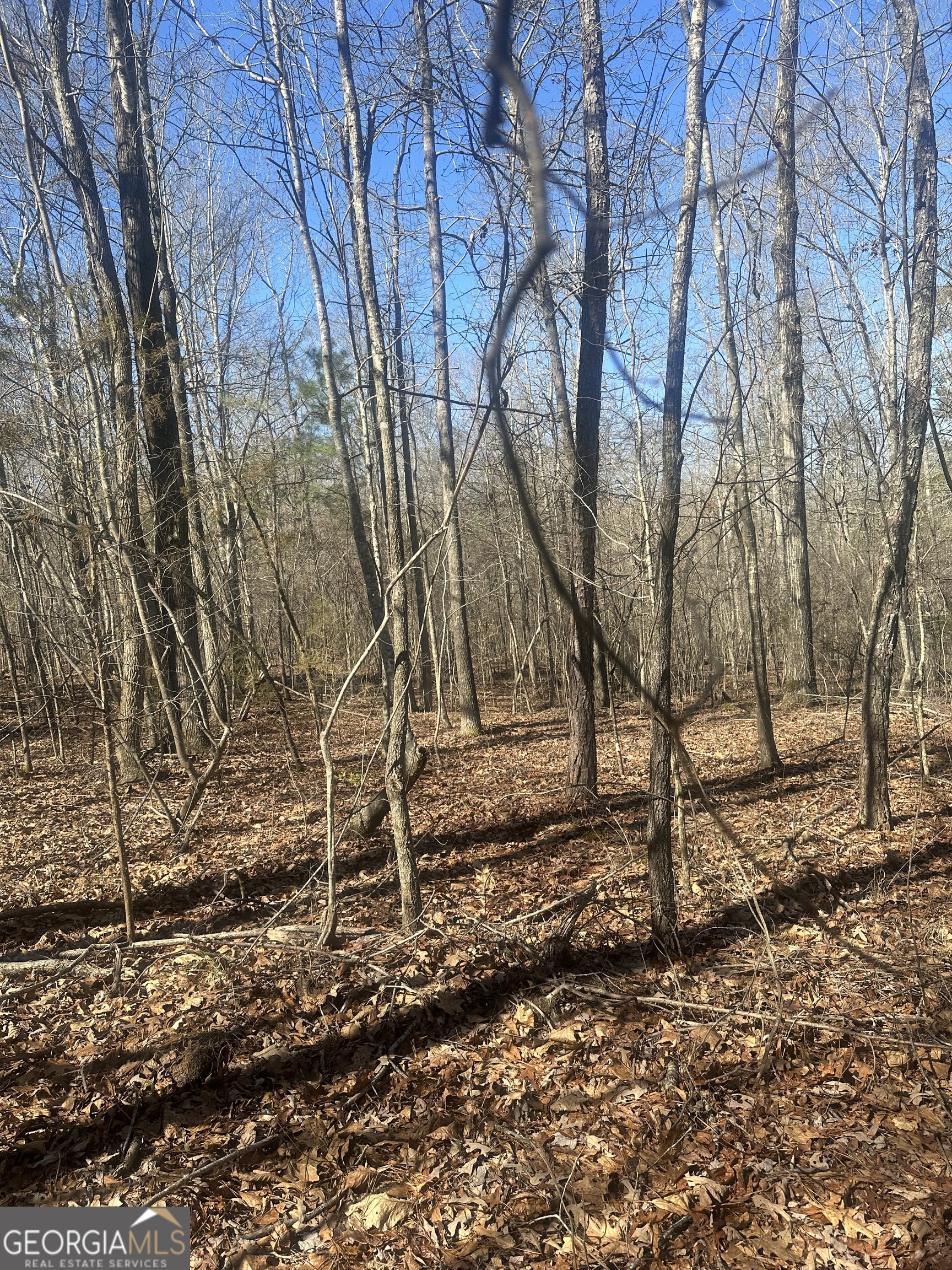 0 Summit View Road Jackson GA 30233