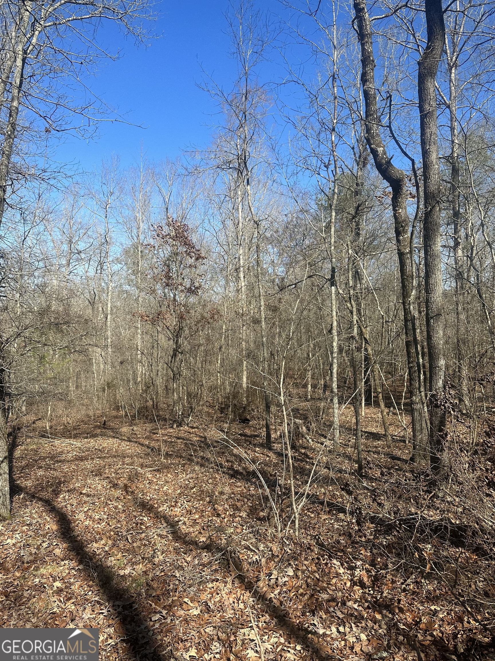 0 Summit View Road Jackson GA 30233