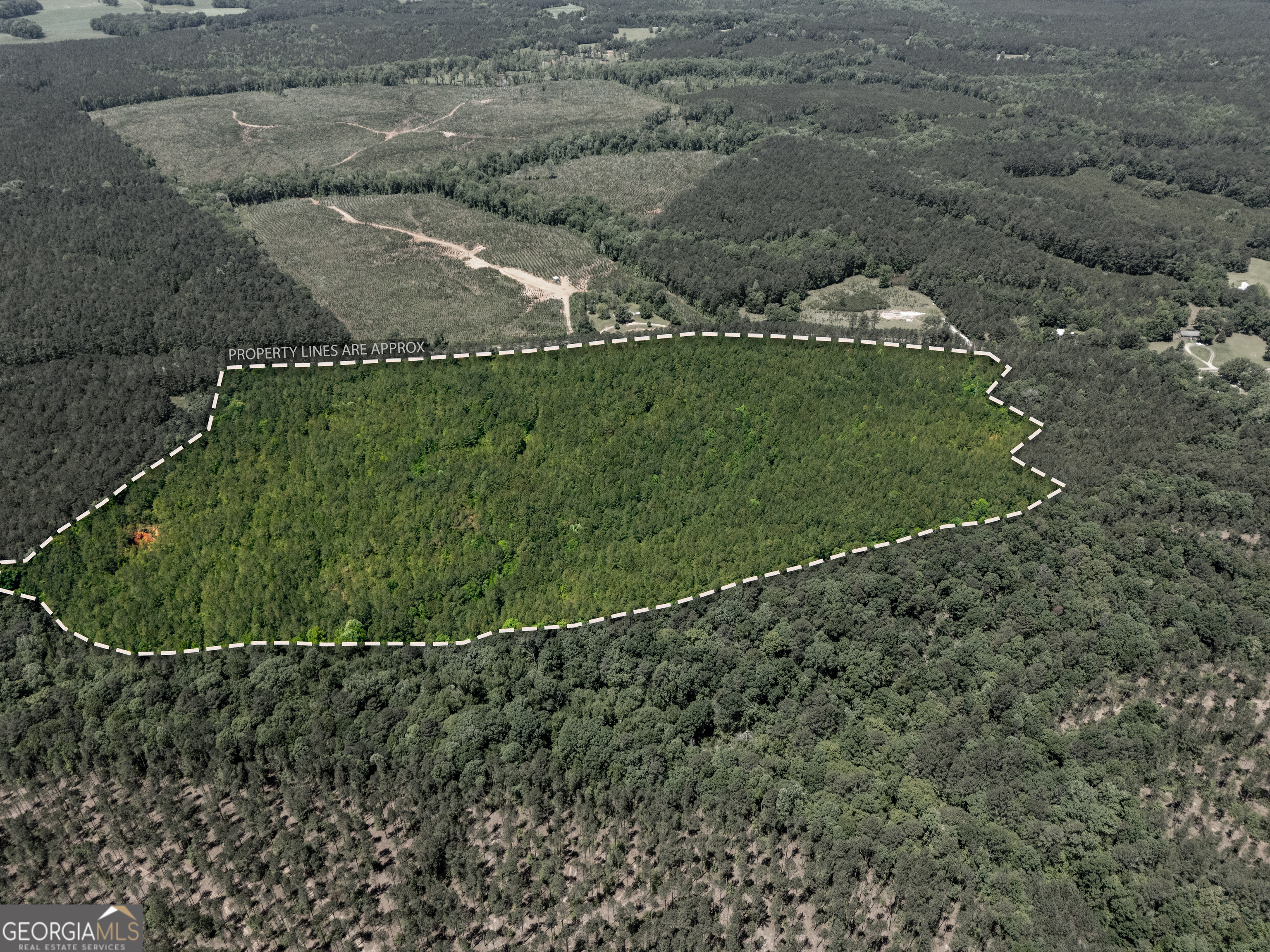 3678 Lundberg Road Washington GA 30673